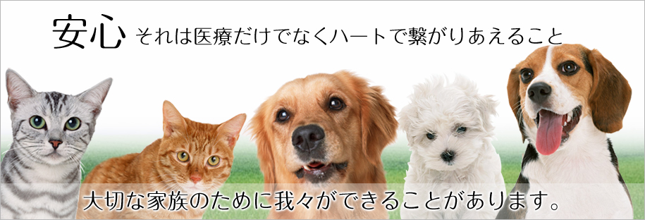 �C���[�W�F���������a�@