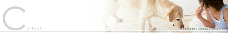 イメージ:長嶋動物病院 お問合せ