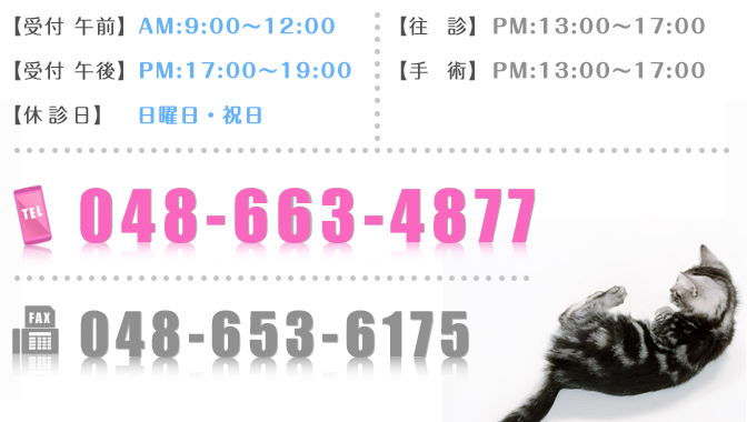 TEL:048-663-4877 イメージ:電話番号048-663-4877